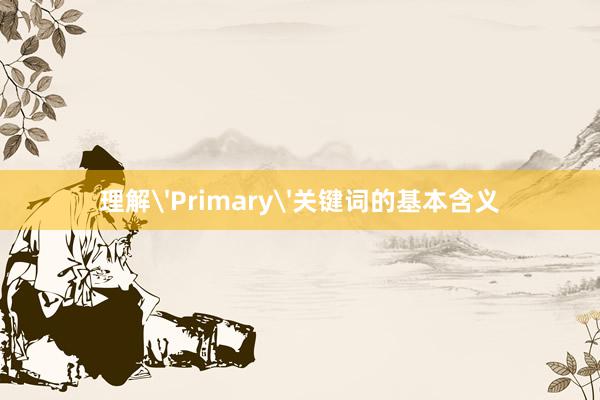 理解'Primary'关键词的基本含义